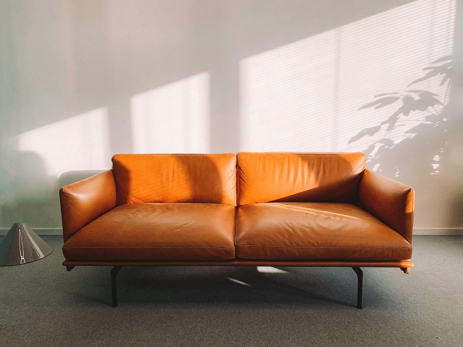 Leather sofa in a sunlit room